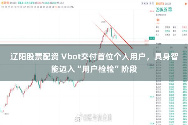 辽阳股票配资 Vbot交付首位个人用户，具身智能迈入“用户检验”阶段