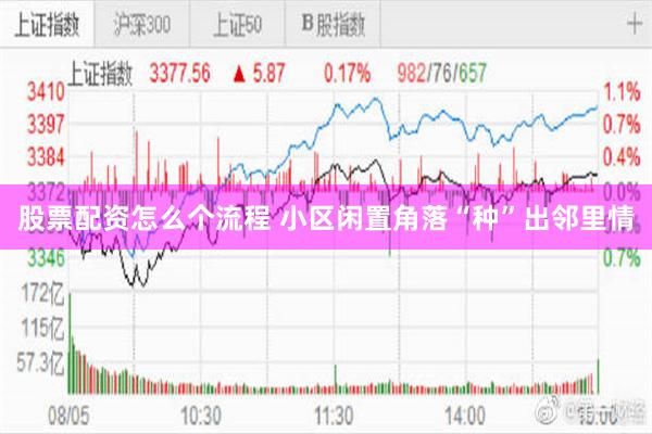 股票配资怎么个流程 小区闲置角落“种”出邻里情